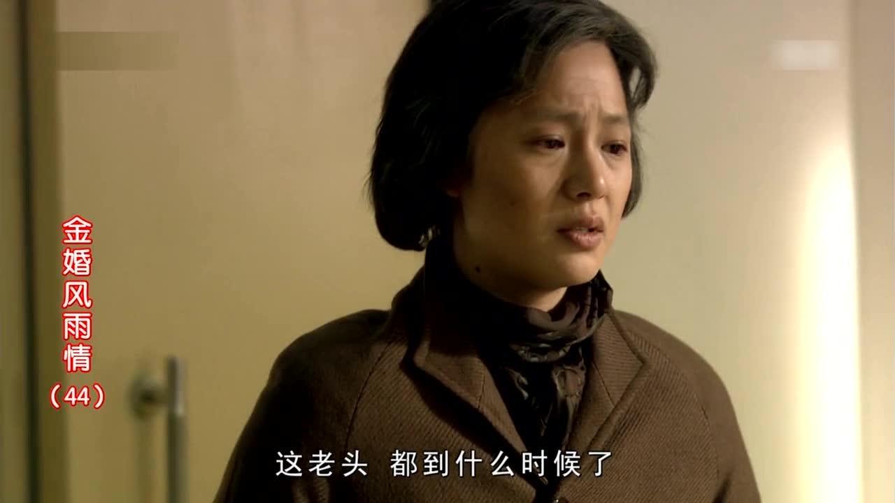 金婚风雨情 44集