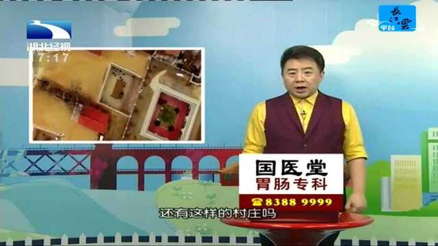 奇怪的村庄不见房子只见树 车子能从房顶上面过