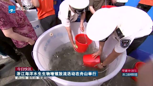 今日快讯:浙江海洋水生生物增殖放流活动在舟山举行