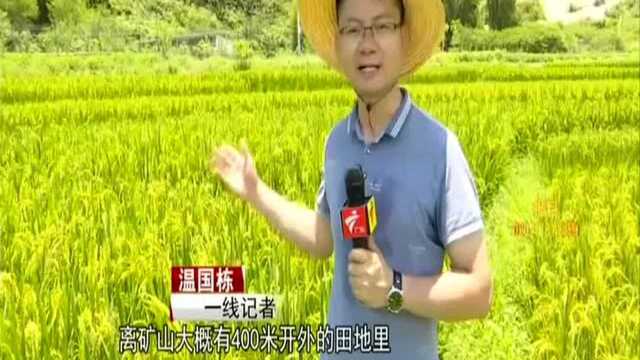 云浮罗定:大雨致矿山泥沙倾泻 覆盖数十亩农田?