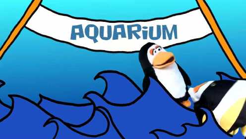 The Aquarium Song  Learn Sea Creatures