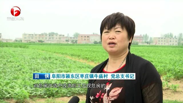 阜阳:合力攻坚 推动问题整改常态长效