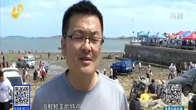 青岛即墨:“开海+旅游”打造特色农民丰收节