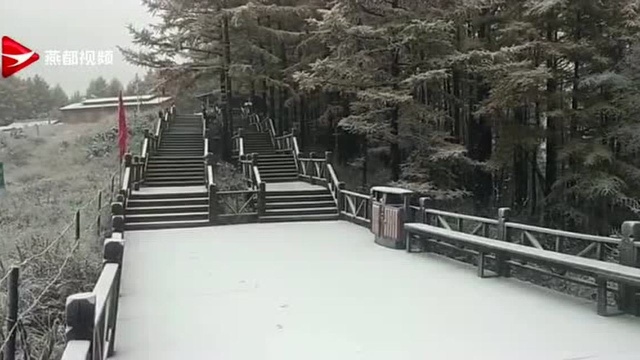 石家庄下雪了