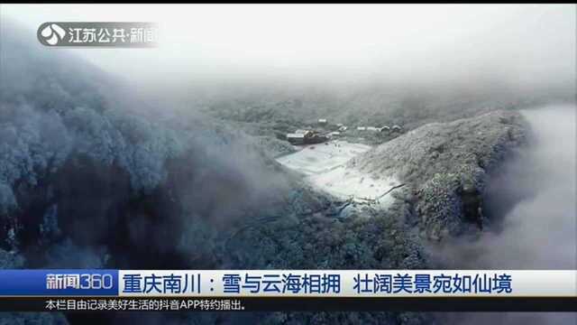 重庆南川:雪与海相拥 壮阔美景宛如仙境