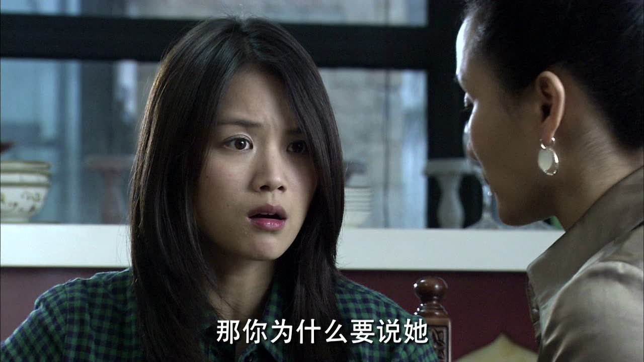 野鸭子 17集