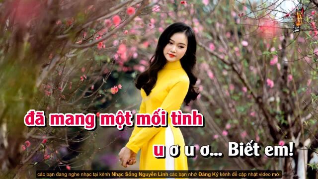 Hoa Cỏ M㹡 Xu㢮