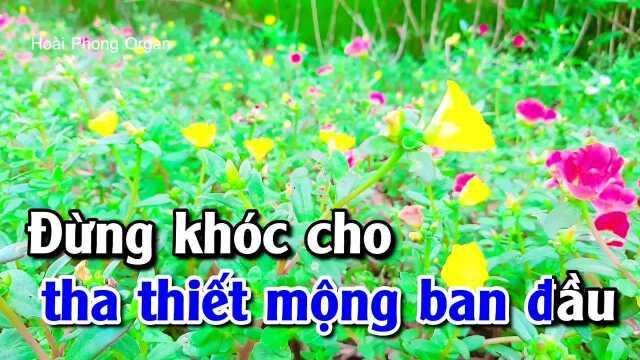 䐡𛫮g N㳩 Xa Nhau  Tone Nam Phối Mới