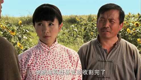西口情歌 12集