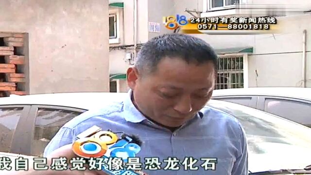 1818黄金眼高光片段