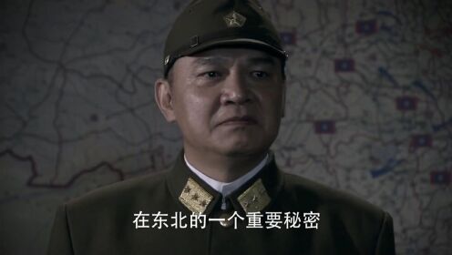 日军得到消息称从北京故宫转移的七千箱宝藏就在四川峨眉山之中