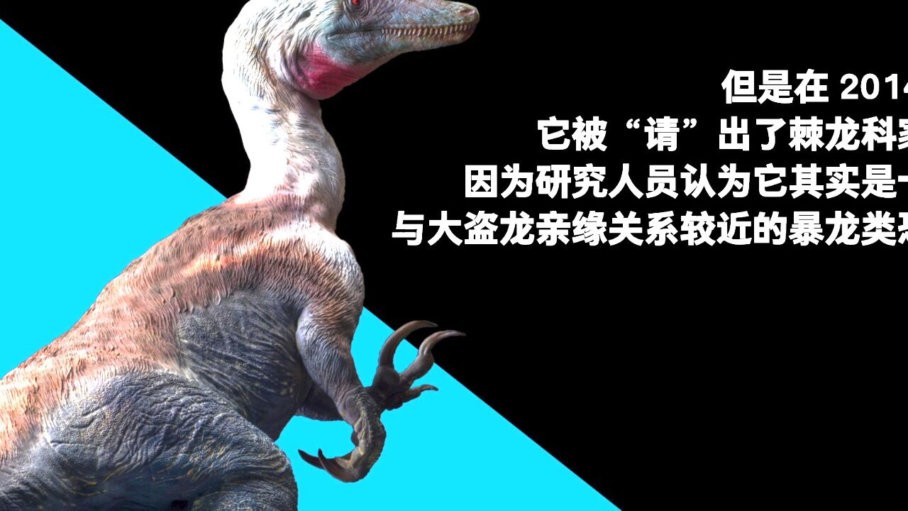 pnso恐龙博物馆:棘龙埃辛的秘密