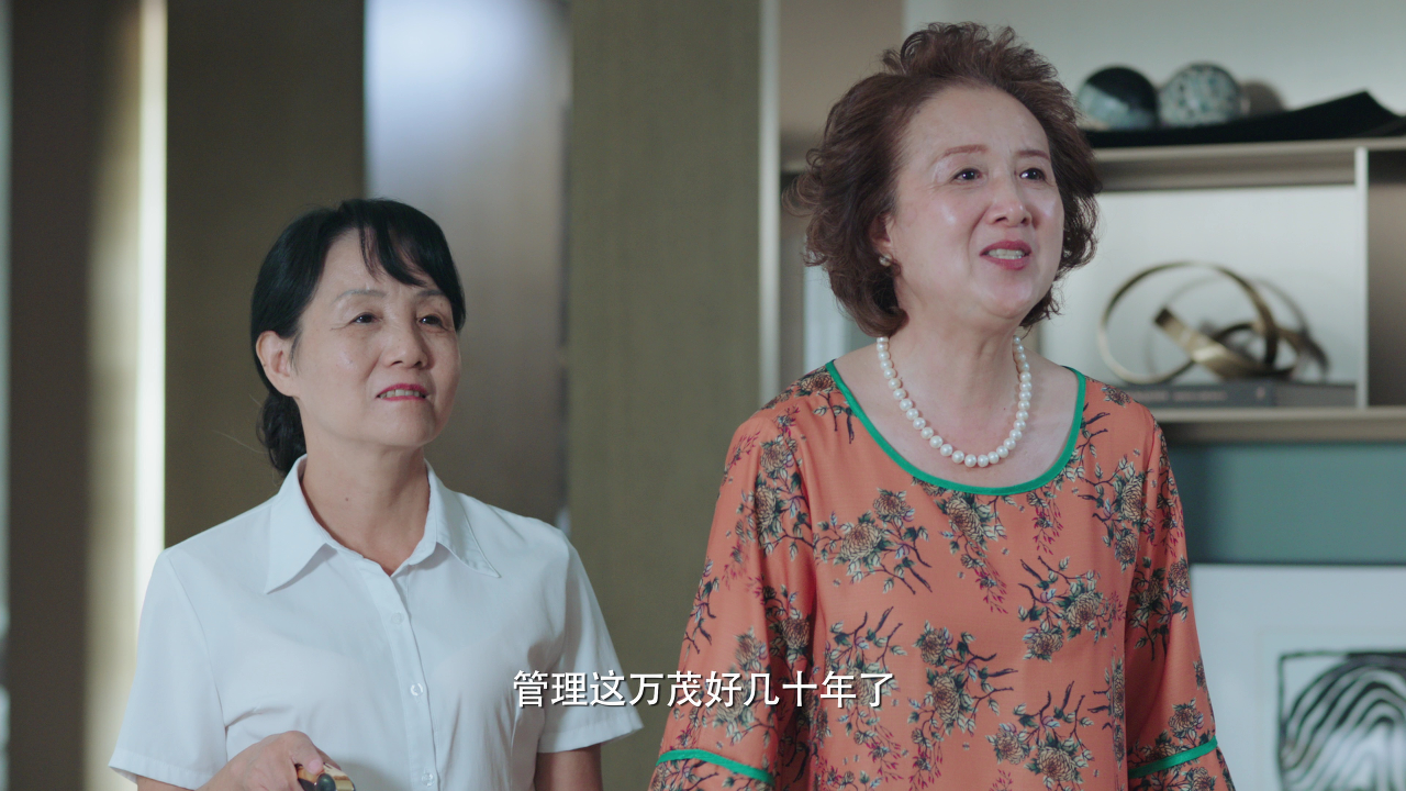 结婚吗？好的 5集