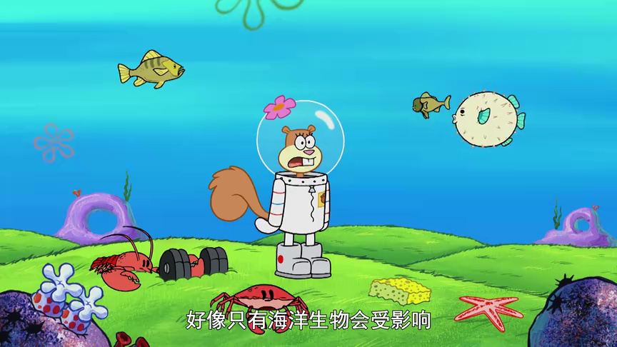 海绵宝宝第10季 9集