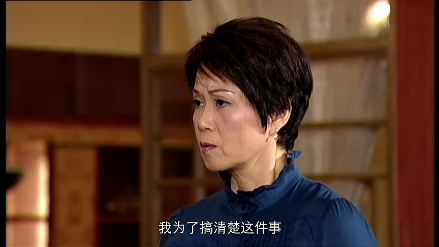 老婆大人2[粤语版] 11集
