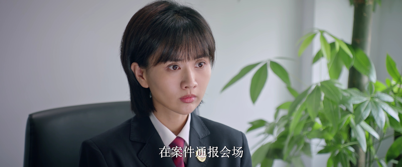 证词 16集