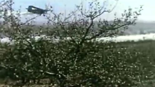 朝鲜老电影《摘苹果的时候》主题歌（1971）