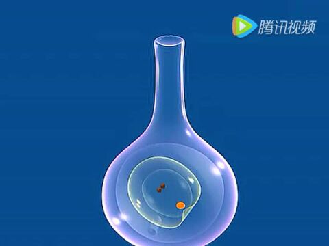 植物双受精过程_腾讯视频