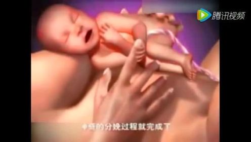 三维动画模拟宝宝是如何出生的！