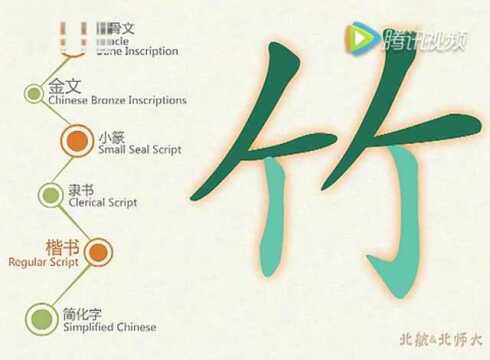 汉字演变———竹.mp4_腾讯视频