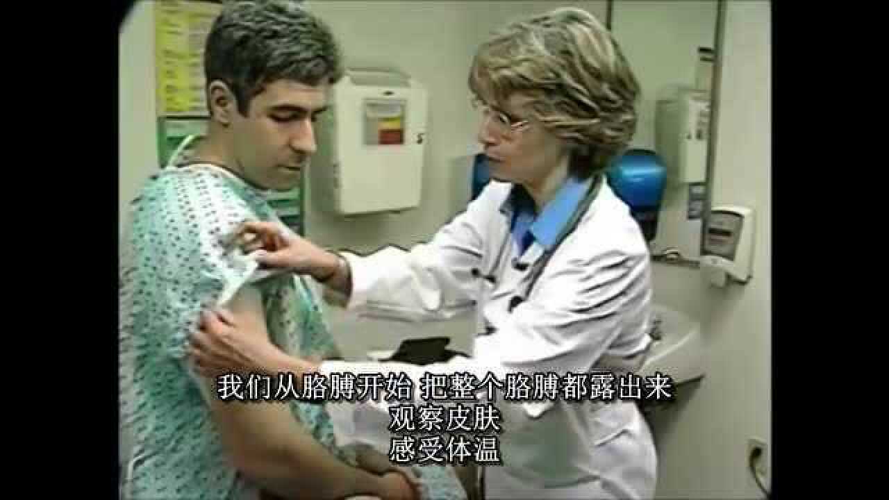 医年医班译制全身体格检查_高清