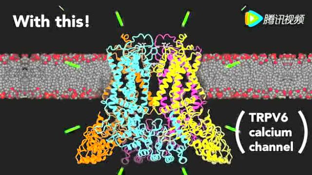 钙离子通道与癌症_腾讯视频