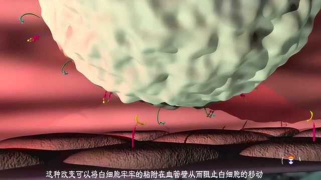 3D动画演示急性炎症的发病过程 附中文字幕_腾讯视频