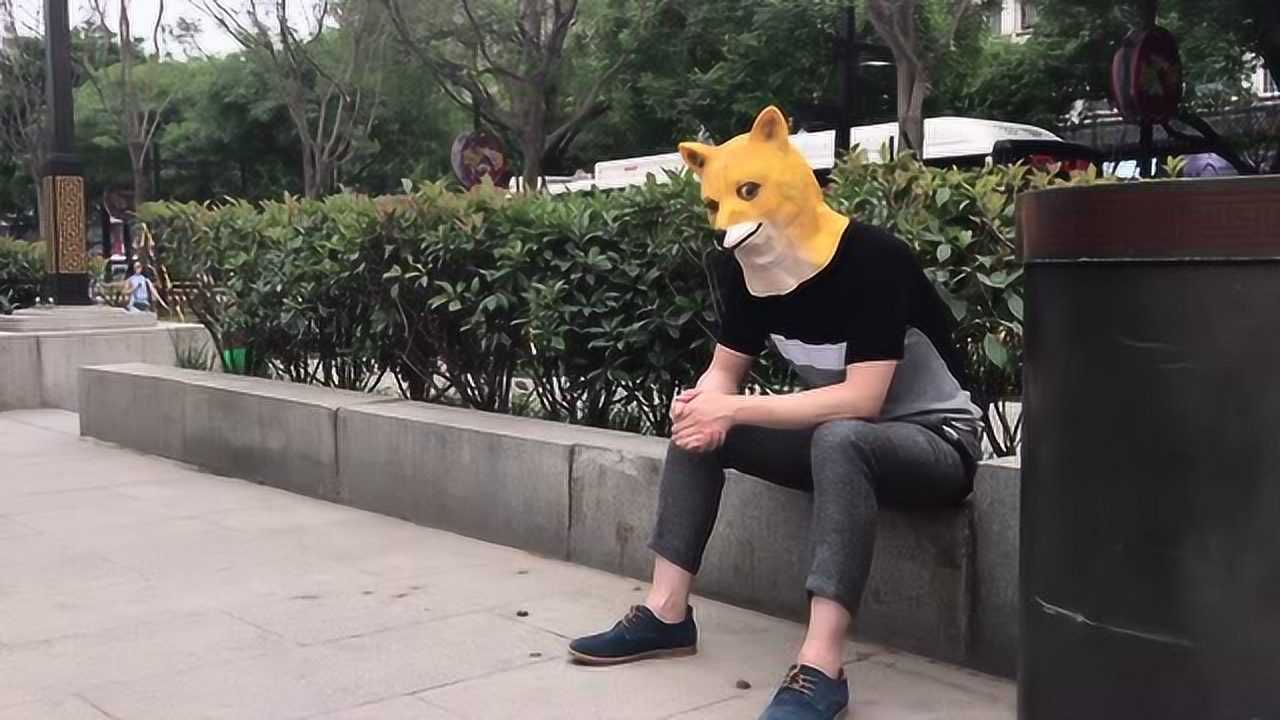 蒋小浪01:25动画:大壮给小动物献爱心却被转校生制止,到底什么情况喵