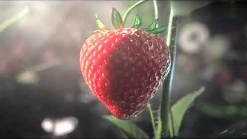 卧槽 原来草莓的生长这么凶残 简直无法直视   ​​​