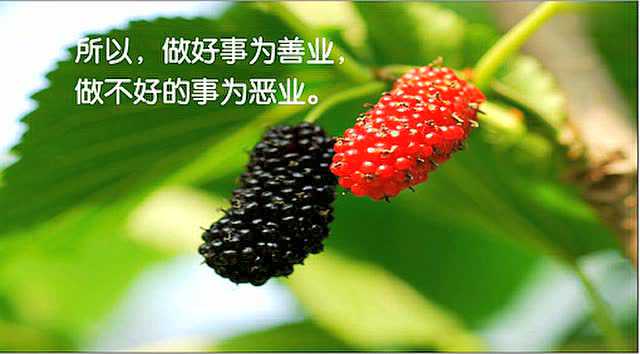 行善积福行善积福_腾讯视频