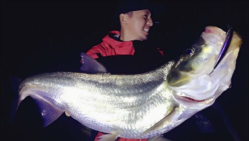 ewe路亚,疯狂出线!夏利俊深夜挑战清水水库巨型翘嘴