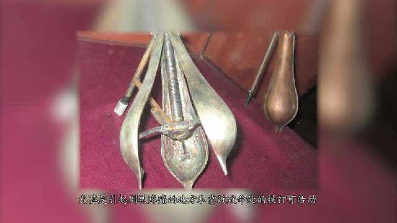 欧洲常用“开花梨”审讯犯人，不会致死，但看着全身都痛_高清1080P在线观看平台_腾讯视频
