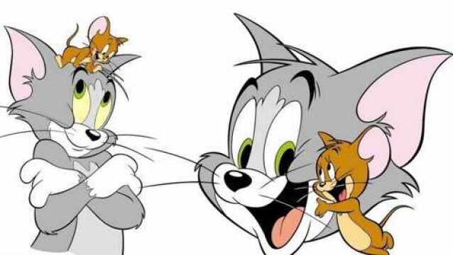 大洋芋与小米渣 腾讯网