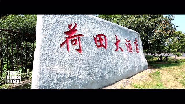 荷田大酒店宣传片