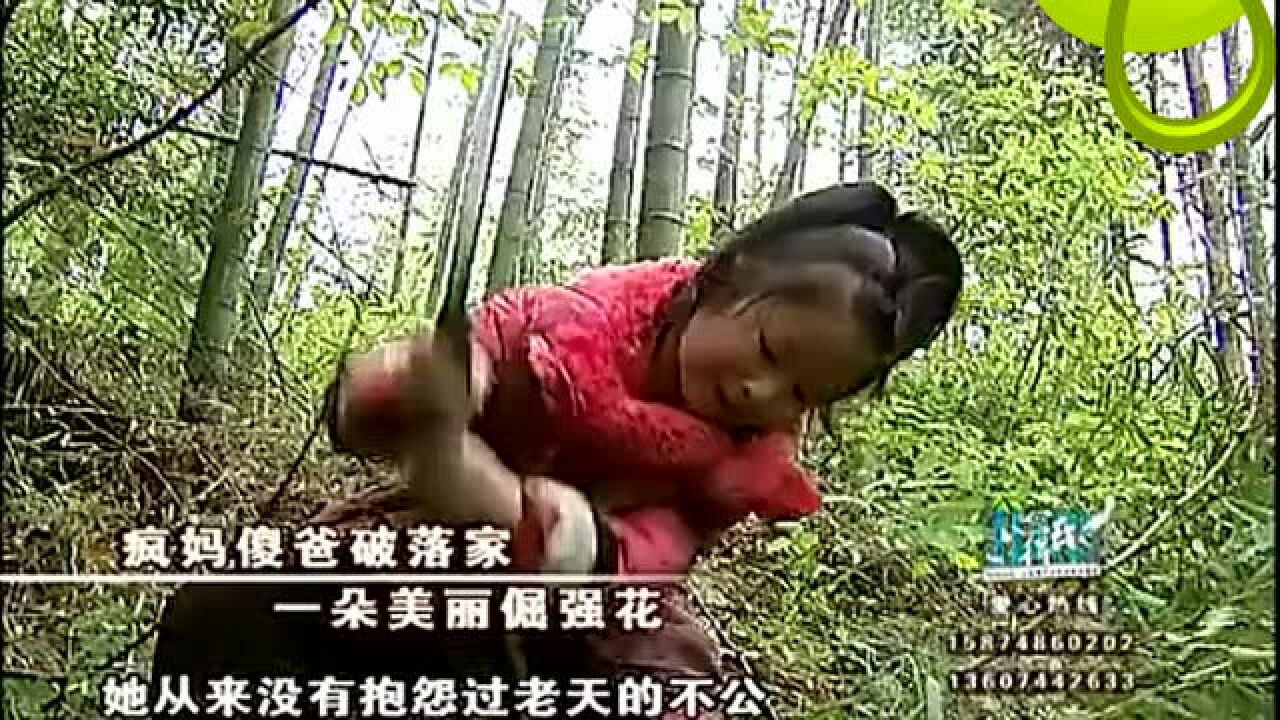 感动亿万人的视频，疯妈傻爸破落家！_高清