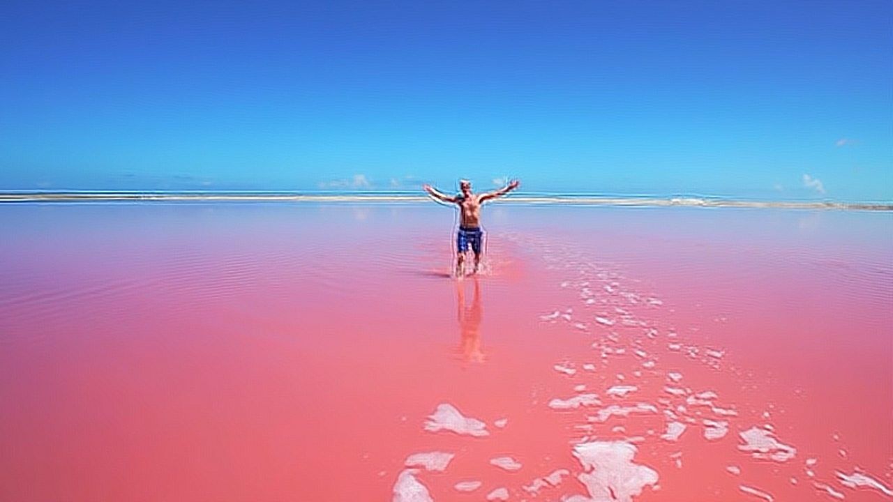 不可思议的粉红色沙滩,七夕约会最佳地方,你的七夕怎么过