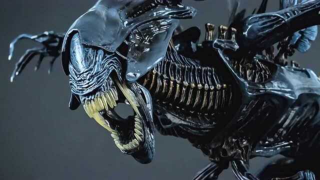 腾讯视频-中国领先的在线视频媒体平台,海量高清视频在线观看