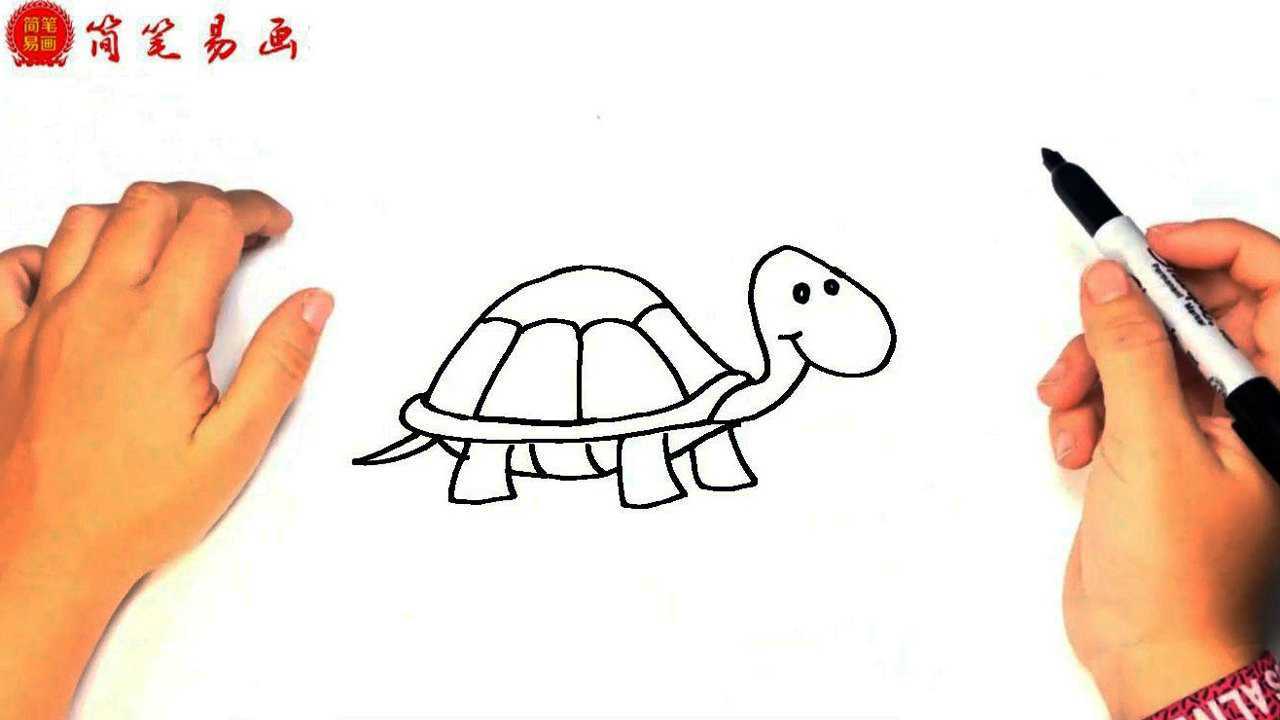 如何画乌龟一分钟学会简笔画tortoise超级简单的绘画小技巧
