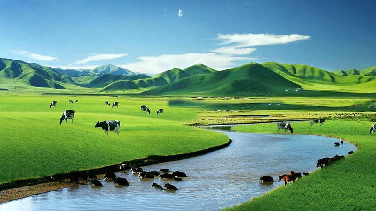 中国第一奶都，年产奶近300万吨你敢说没喝过这的奶吗？_腾讯视频