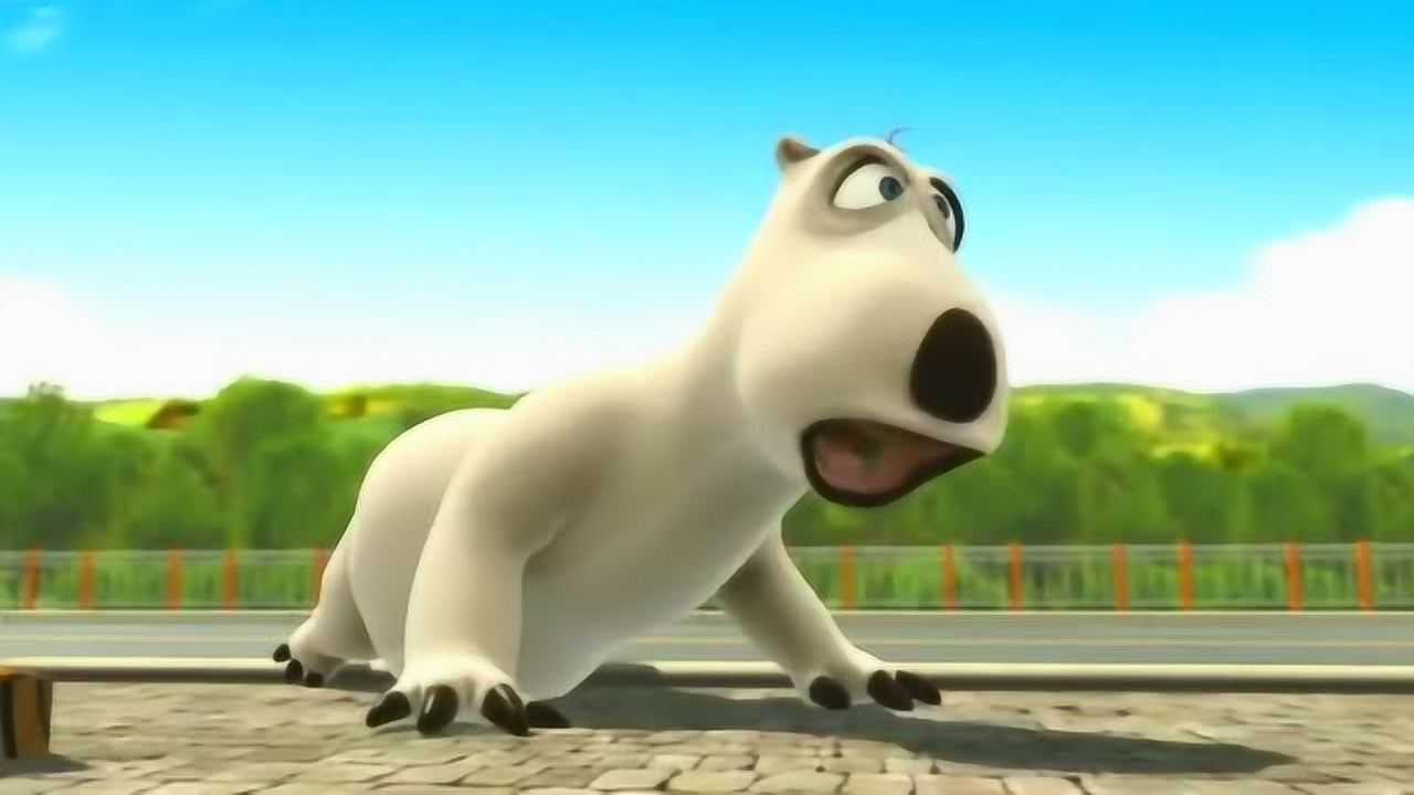 倒霉熊:倒霉熊不买票想进斗牛场,搞笑了