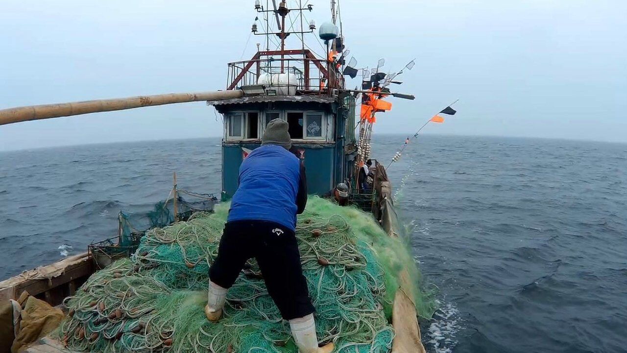渔民出海捕鱼,放下10多公里长的渔网,不知收获会怎么样?