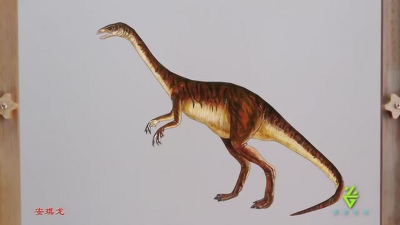 恐龙百科——安琪龙