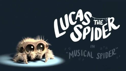 置顶 超萌小蜘蛛最全合集 小蜘蛛卢卡斯又来了 这次它历尽千辛万苦