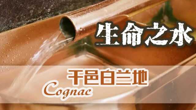 干邑白兰地:“生命之水”的前世今生