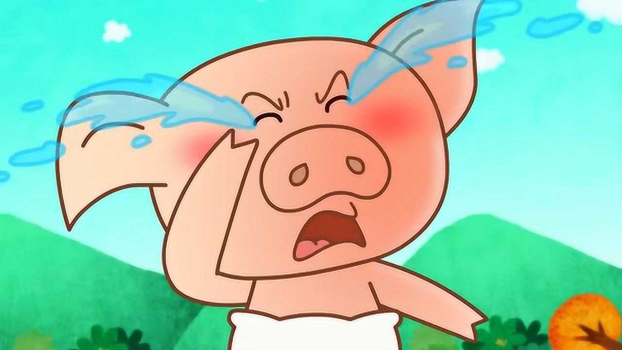 《可可小爱》小猪为什么哭了呢,可可知道了吗