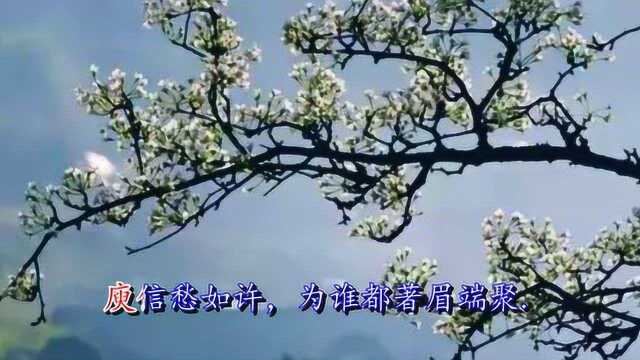 《安公子 弱柳千丝缕》袁去华 视频朗诵“念永昼春闲 人倦如何度”