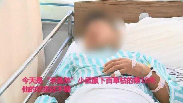 “杀鱼弟”首次回忆买百草枯过程:8块一瓶,用时掺水使劲摇一摇