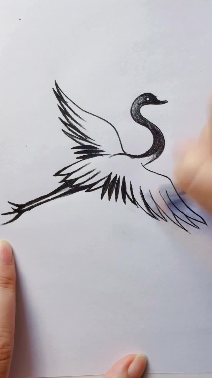 丹顶鹤的画法 简单图片
