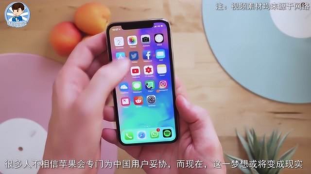 双卡双待iPhone真的要来了,苹果新系统已经支持双卡功能!