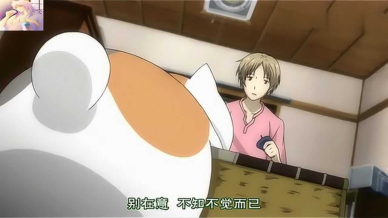 猫咪老师吃西瓜是不是很萌?